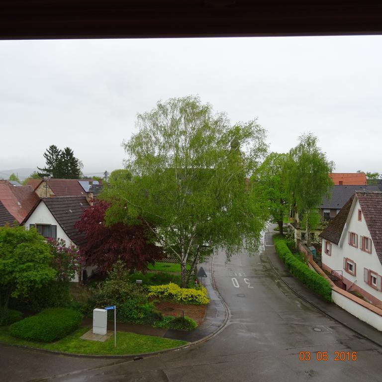 Hotel Einstein Bad Krozingen Exteriör bild